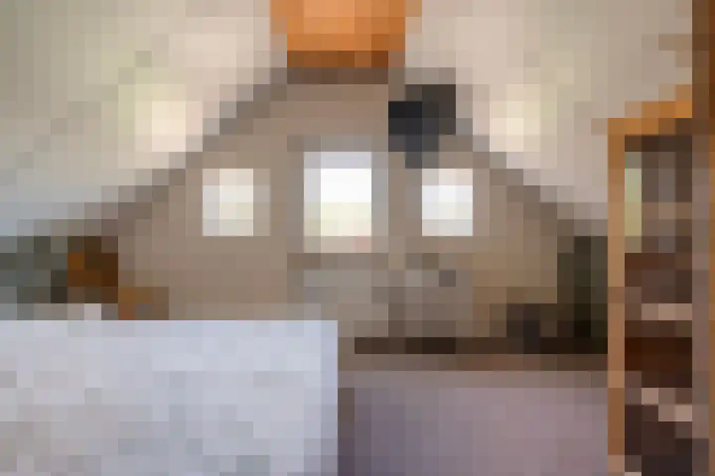 Noord Oosterweg 1 Loozen thumbnail 37