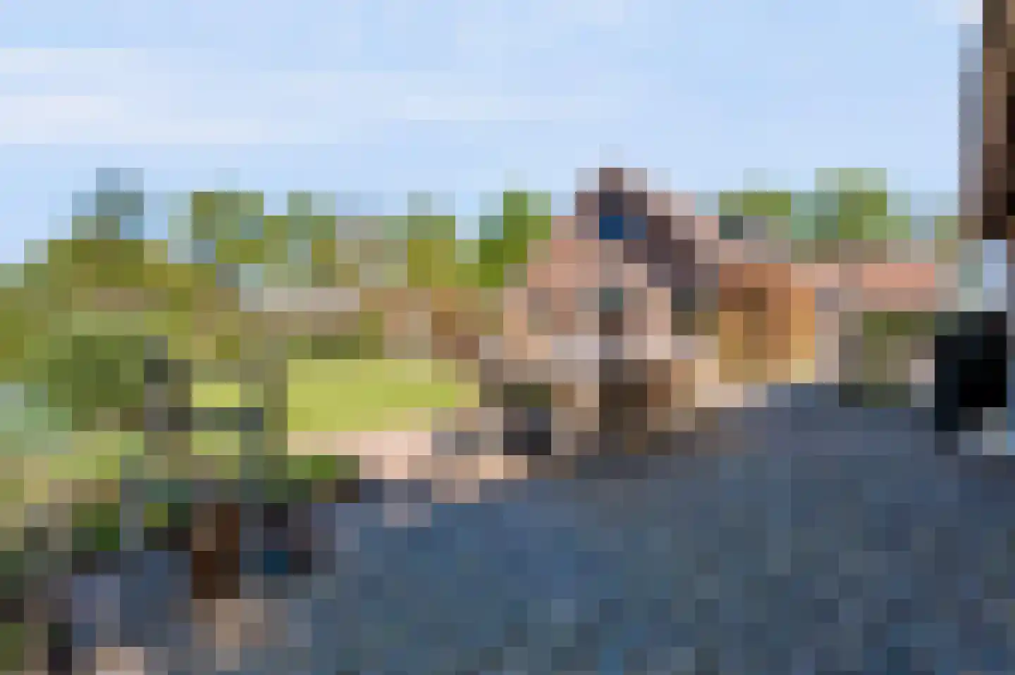 Noord Oosterweg 1 Loozen thumbnail 38