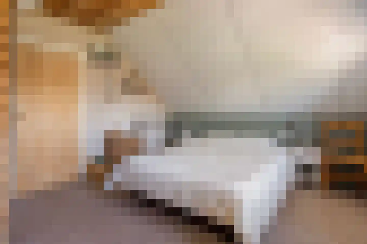 Noord Oosterweg 1 Loozen thumbnail 39