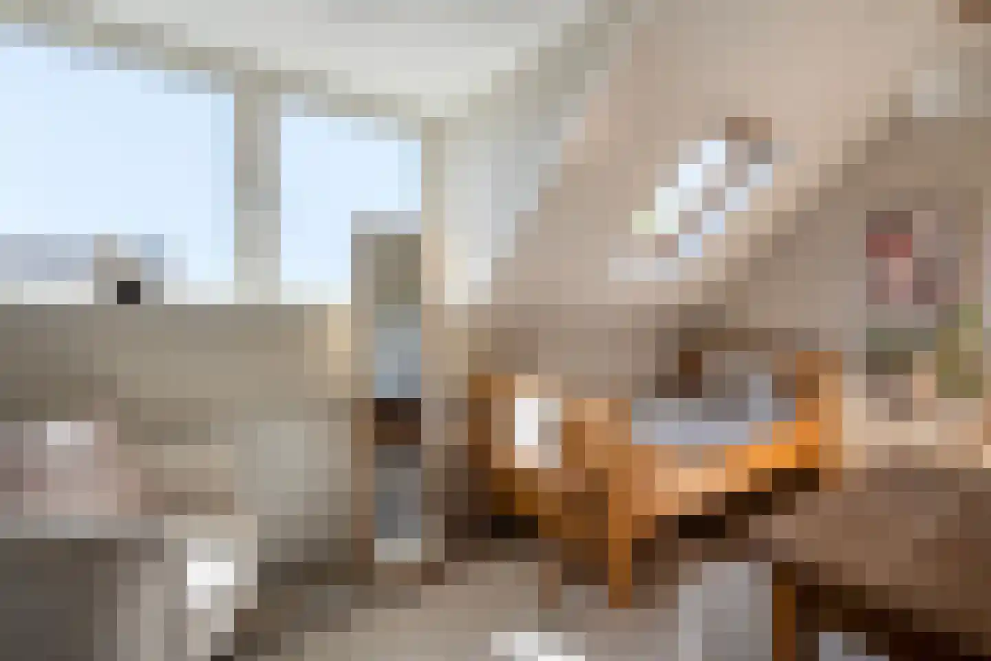Noord Oosterweg 1 Loozen thumbnail 40