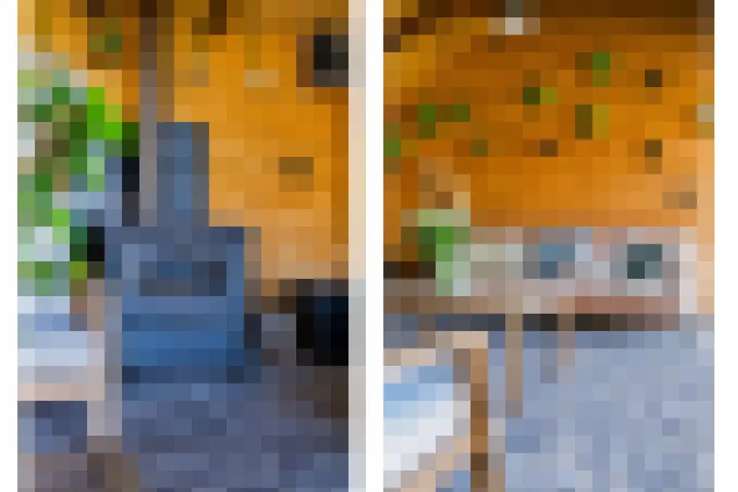 Noord Oosterweg 1 Loozen thumbnail 42