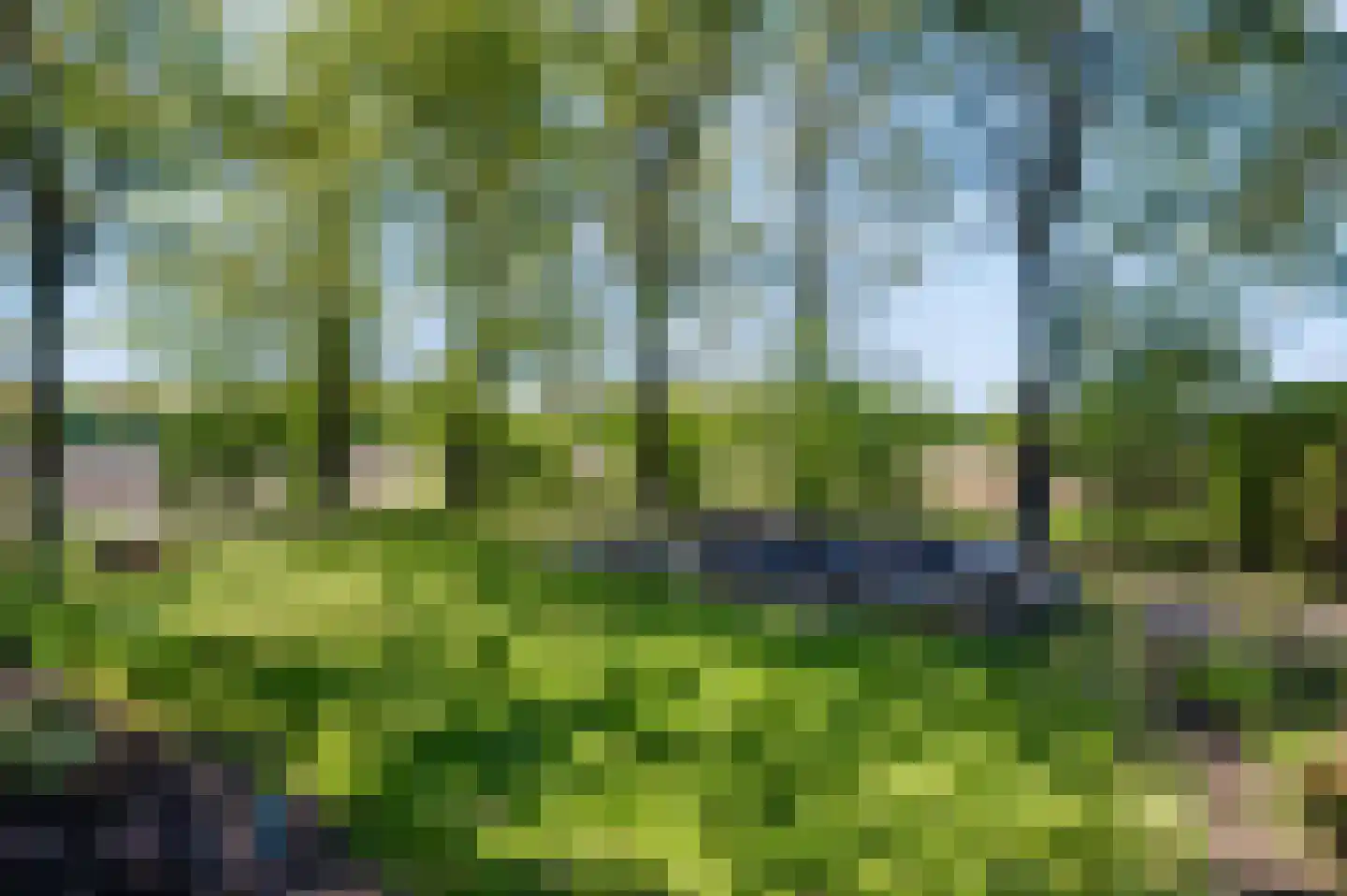 Noord Oosterweg 1 Loozen thumbnail 43