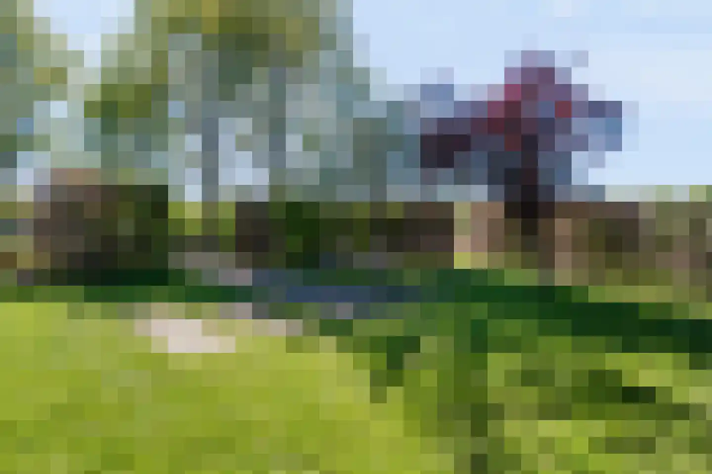 Noord Oosterweg 1 Loozen thumbnail 44