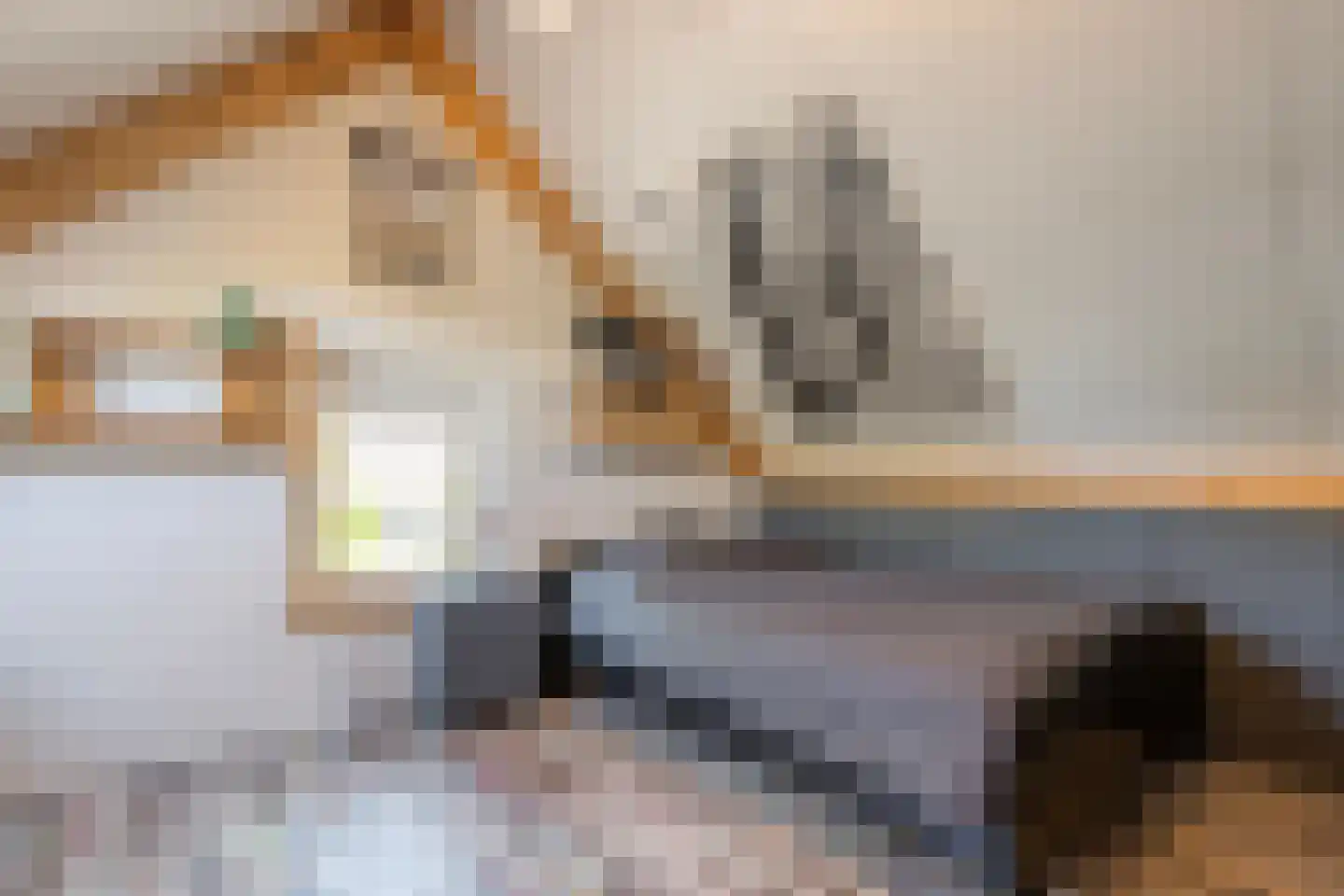 Noord Oosterweg 1 Loozen thumbnail 46