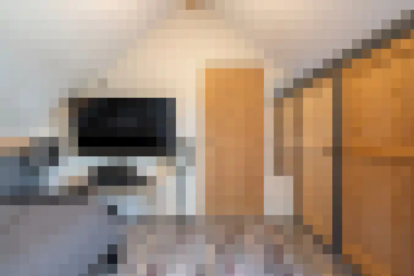 Noord Oosterweg 1 Loozen thumbnail 47