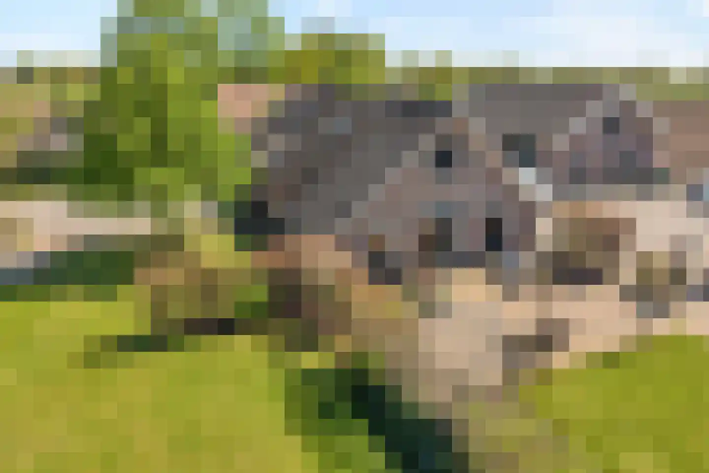 Noord Oosterweg 1 Loozen thumbnail 48