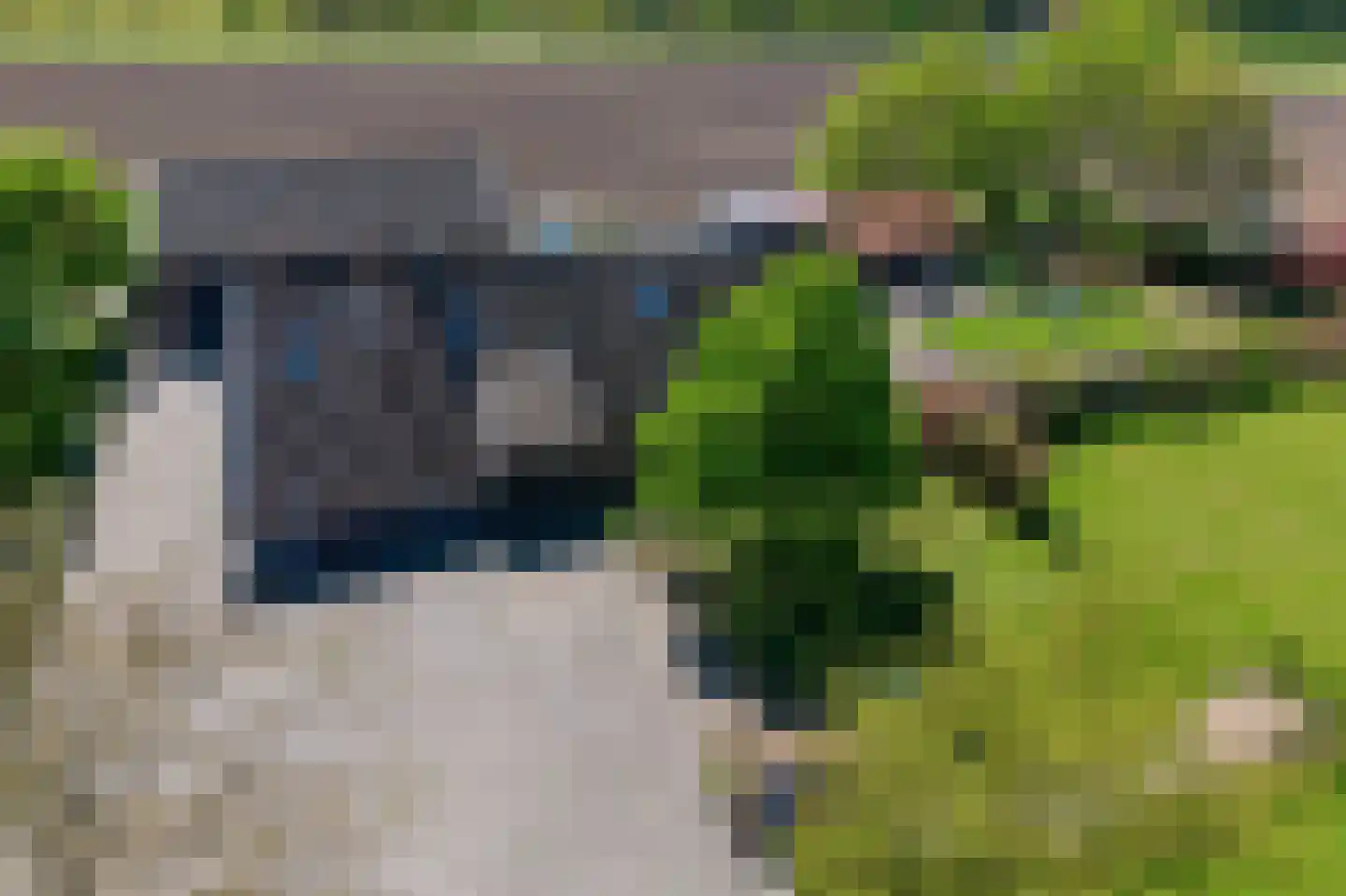 Noord Oosterweg 1 Loozen thumbnail 49