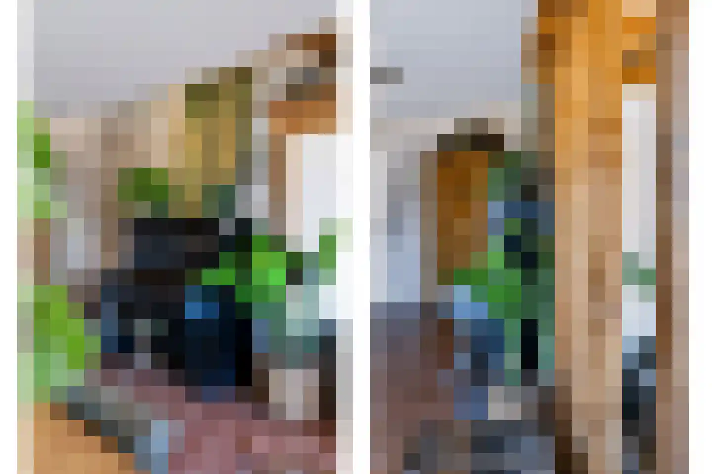 Noord Oosterweg 1 Loozen thumbnail 5