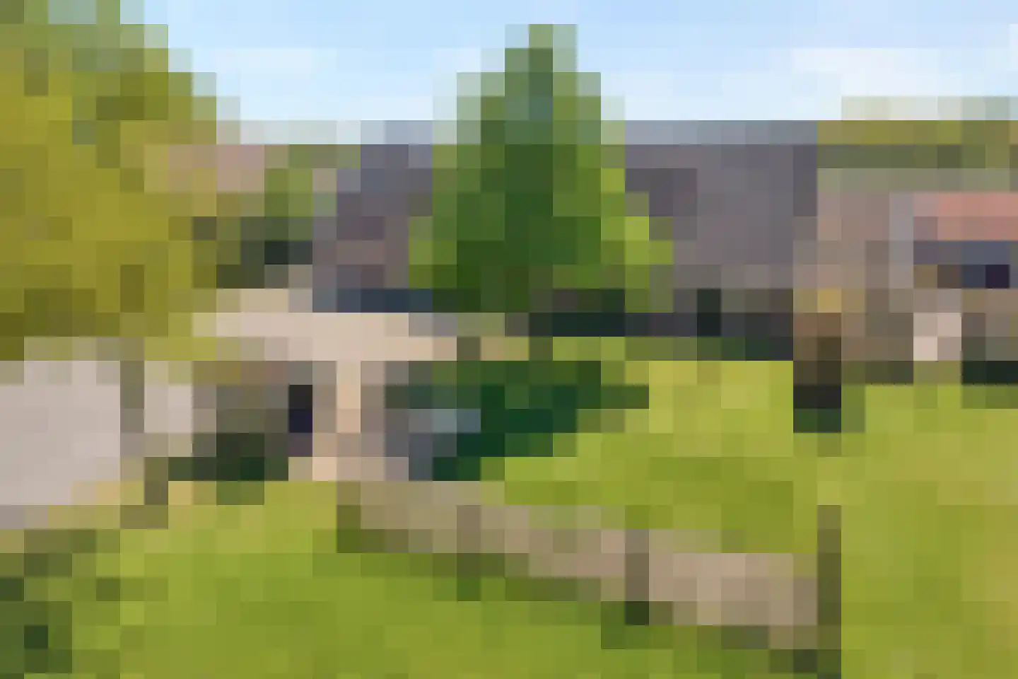 Noord Oosterweg 1 Loozen thumbnail 5