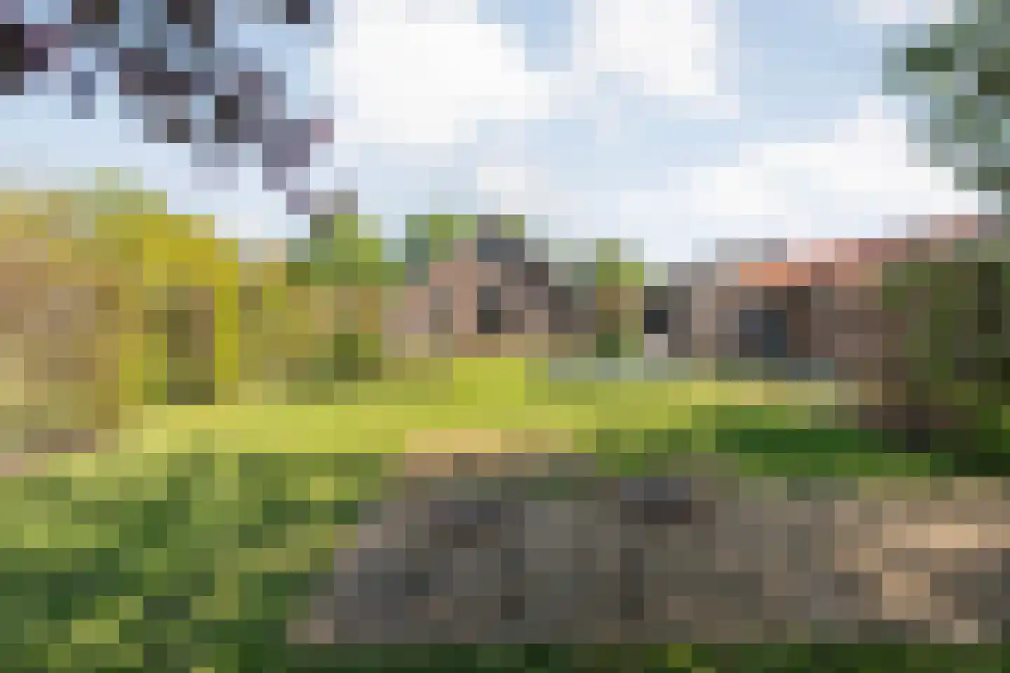 Noord Oosterweg 1 Loozen thumbnail 50