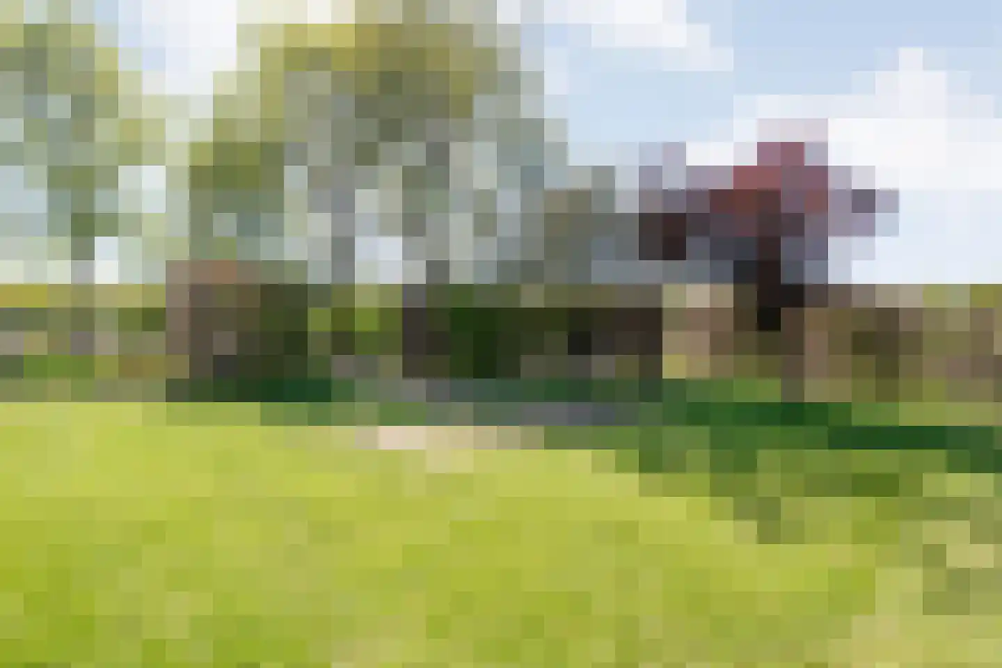 Noord Oosterweg 1 Loozen thumbnail 51