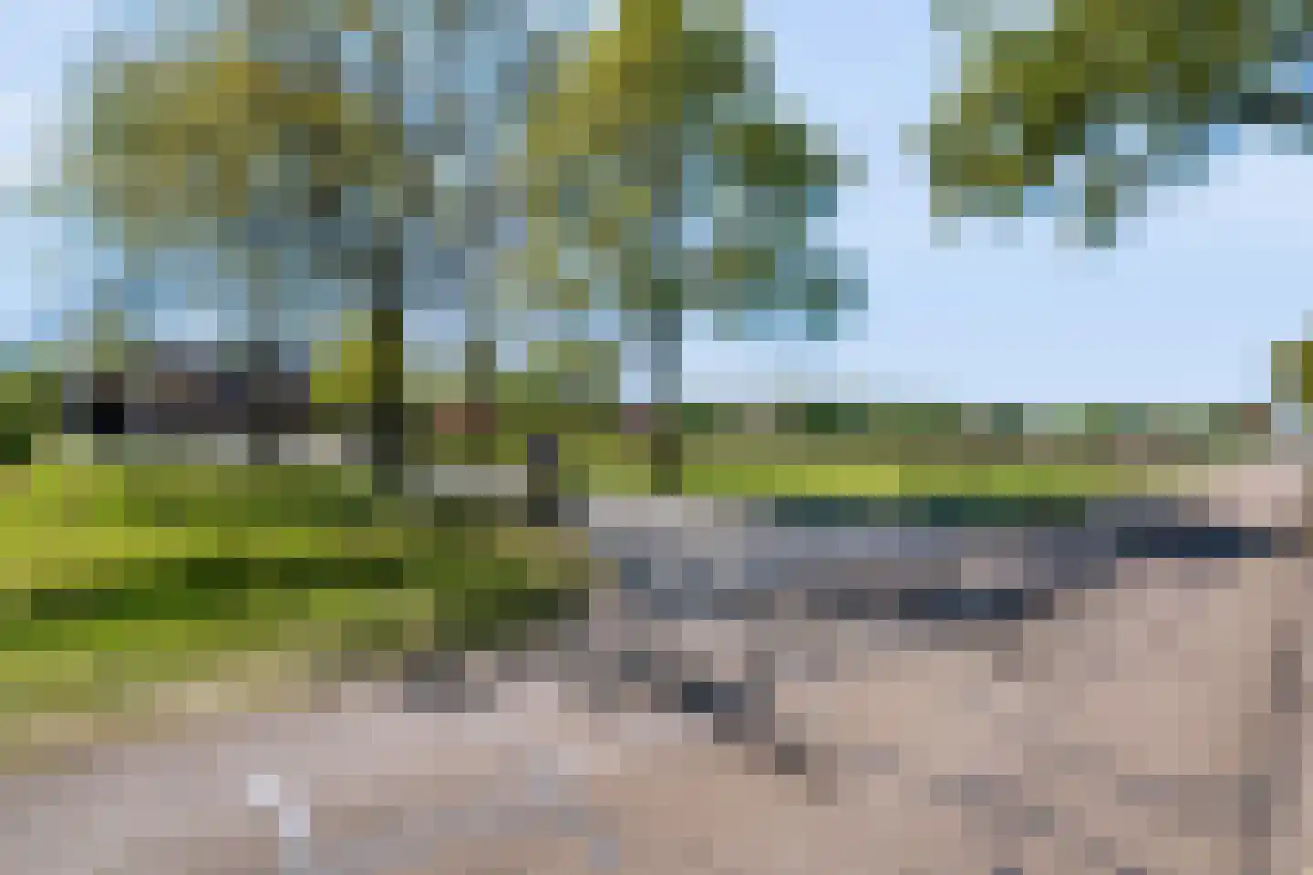 Noord Oosterweg 1 Loozen thumbnail 52