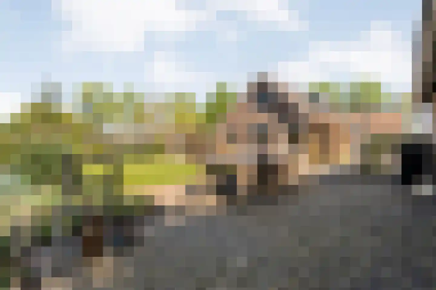 Noord Oosterweg 1 Loozen thumbnail 52