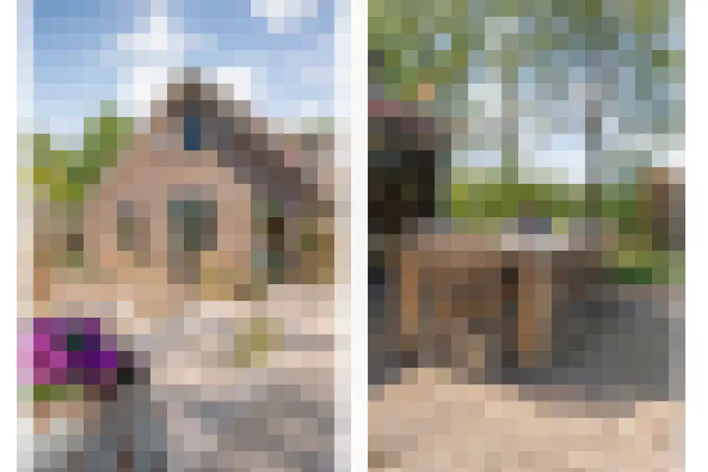 Noord Oosterweg 1 Loozen thumbnail 53