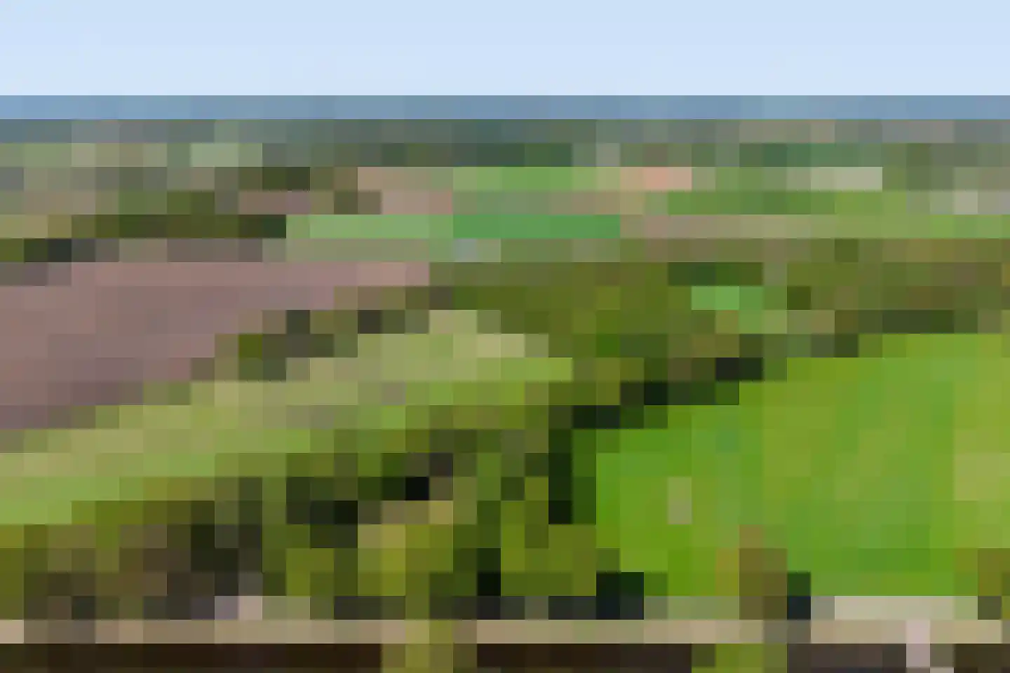 Noord Oosterweg 1 Loozen thumbnail 53