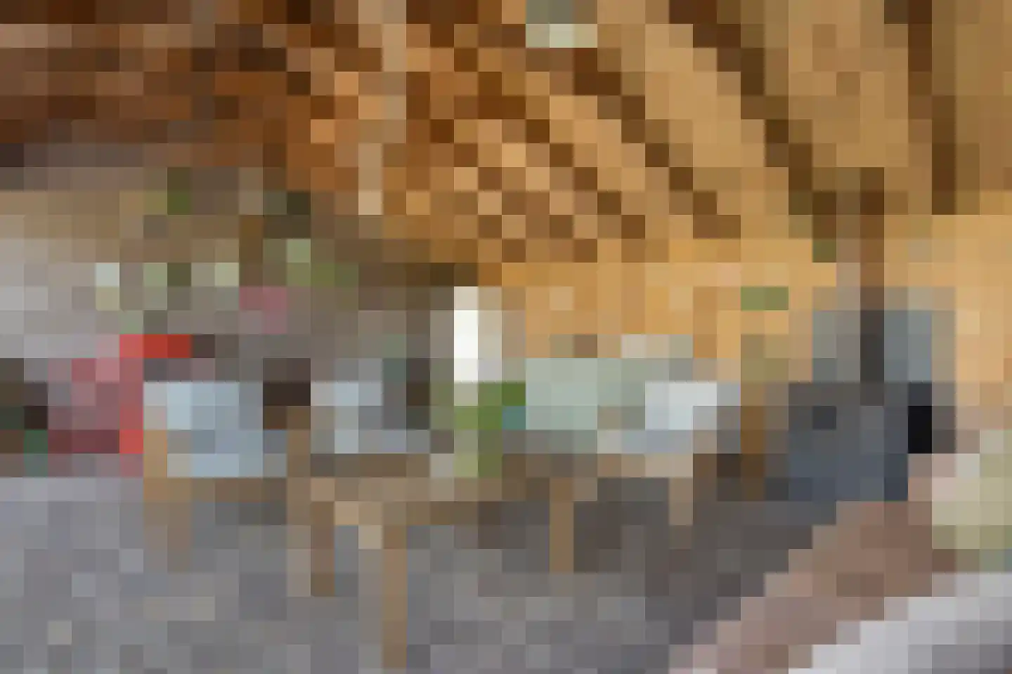 Noord Oosterweg 1 Loozen thumbnail 55