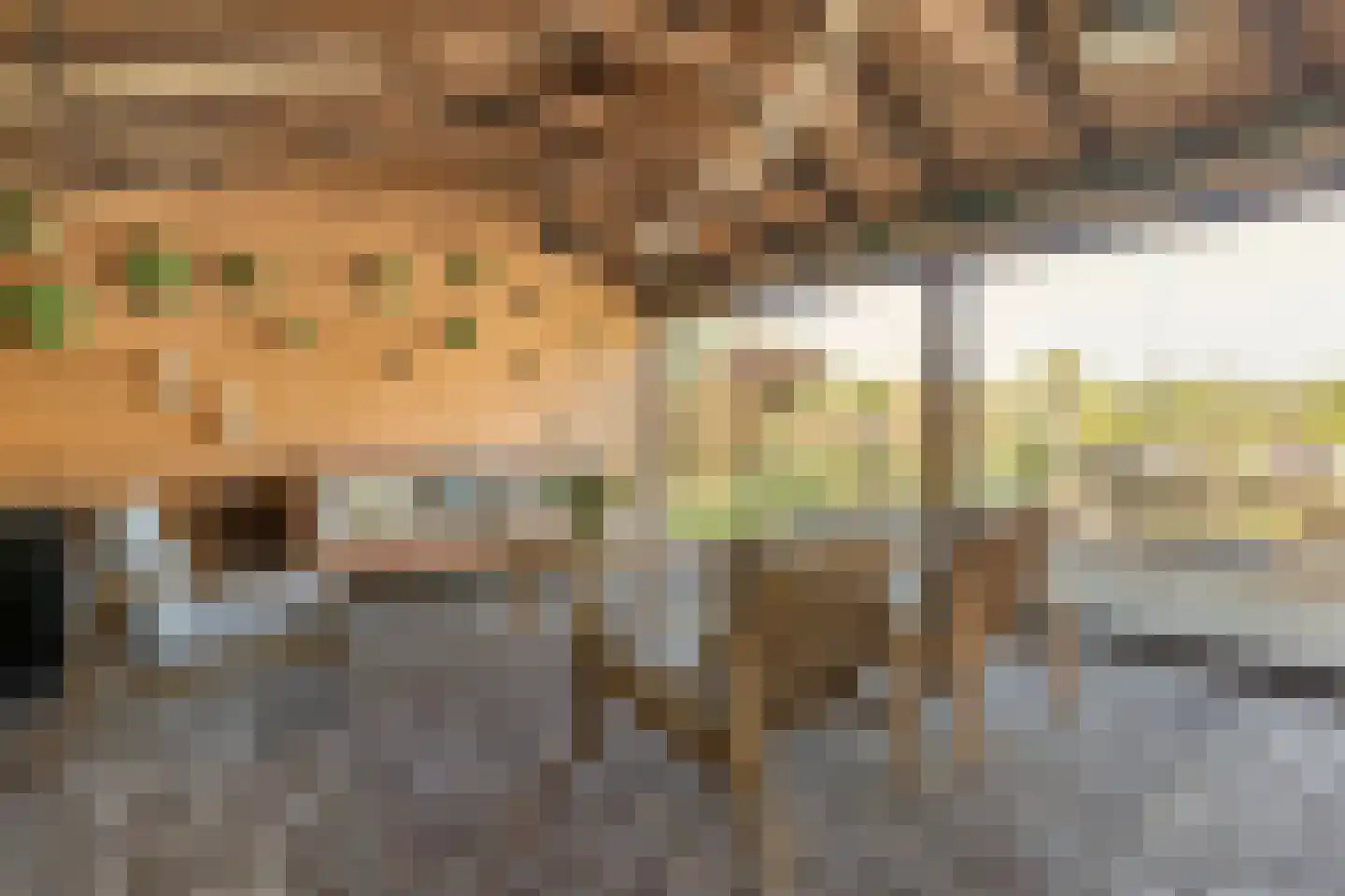 Noord Oosterweg 1 Loozen thumbnail 57