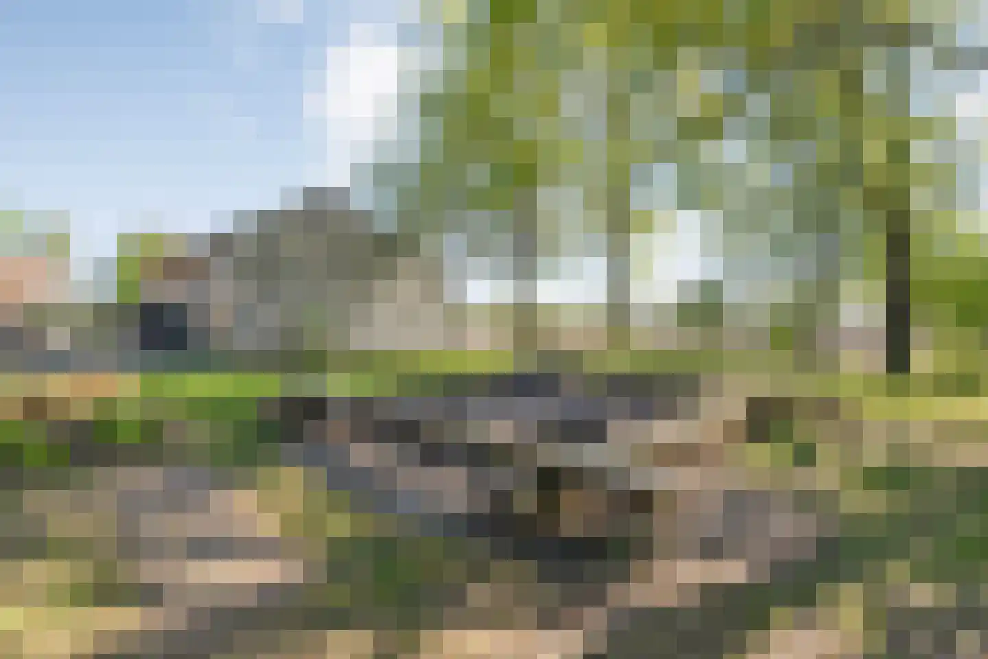 Noord Oosterweg 1 Loozen thumbnail 59