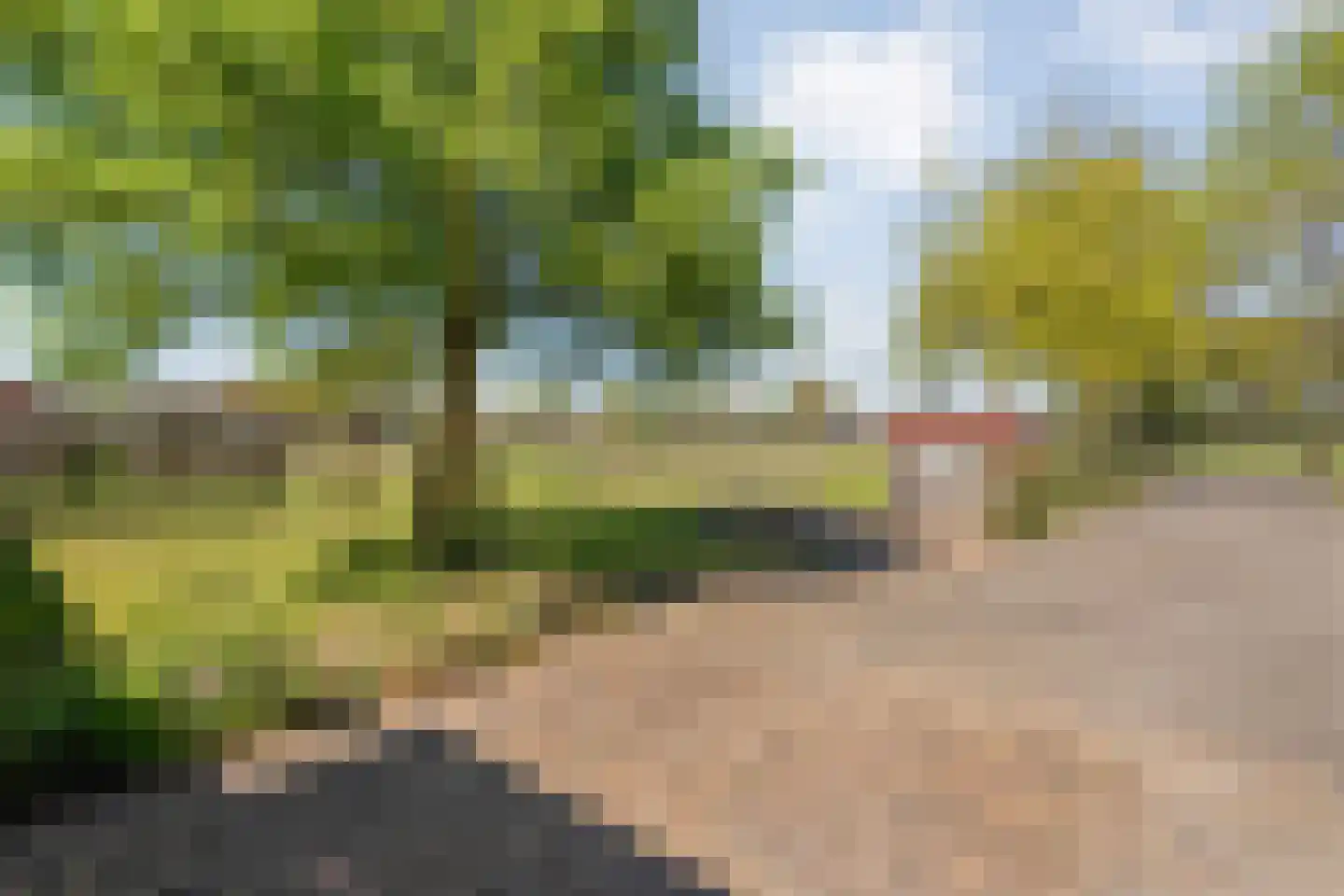 Noord Oosterweg 1 Loozen thumbnail 6