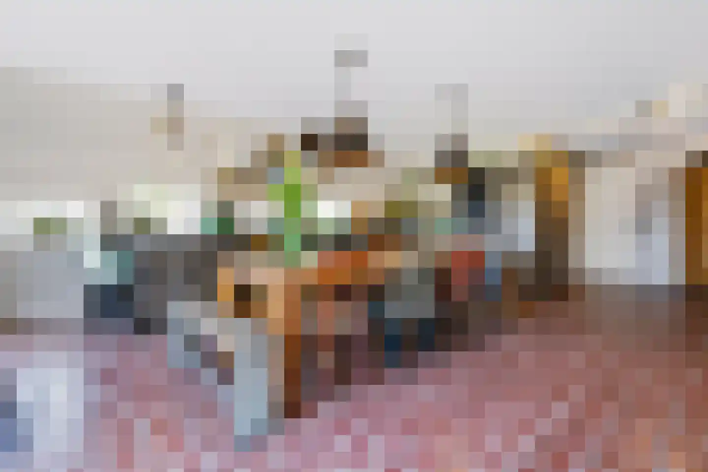 Noord Oosterweg 1 Loozen thumbnail 6