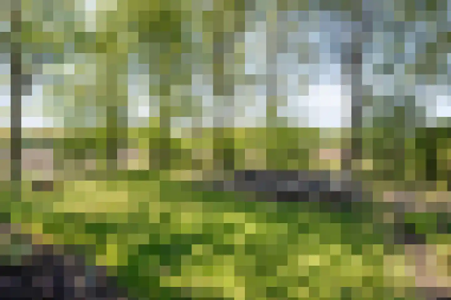 Noord Oosterweg 1 Loozen thumbnail 60