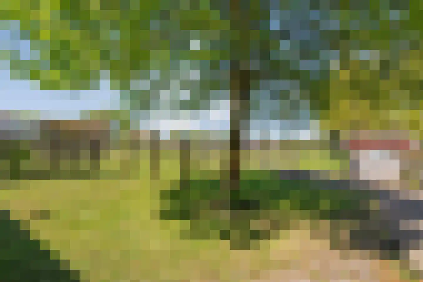 Noord Oosterweg 1 Loozen thumbnail 63