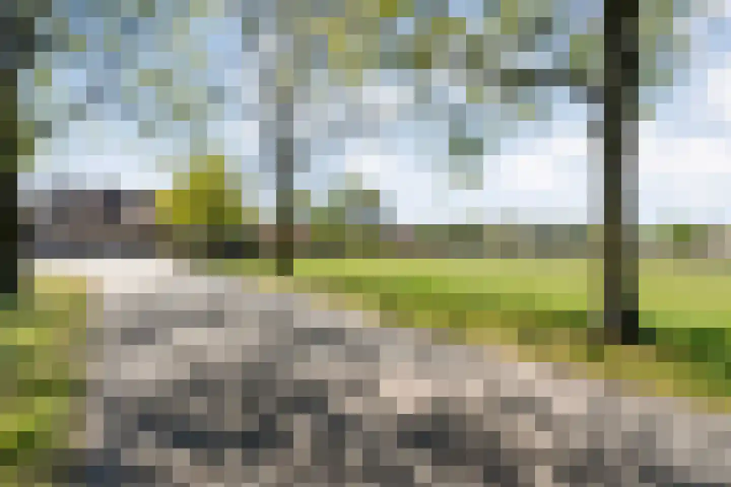 Noord Oosterweg 1 Loozen thumbnail 69