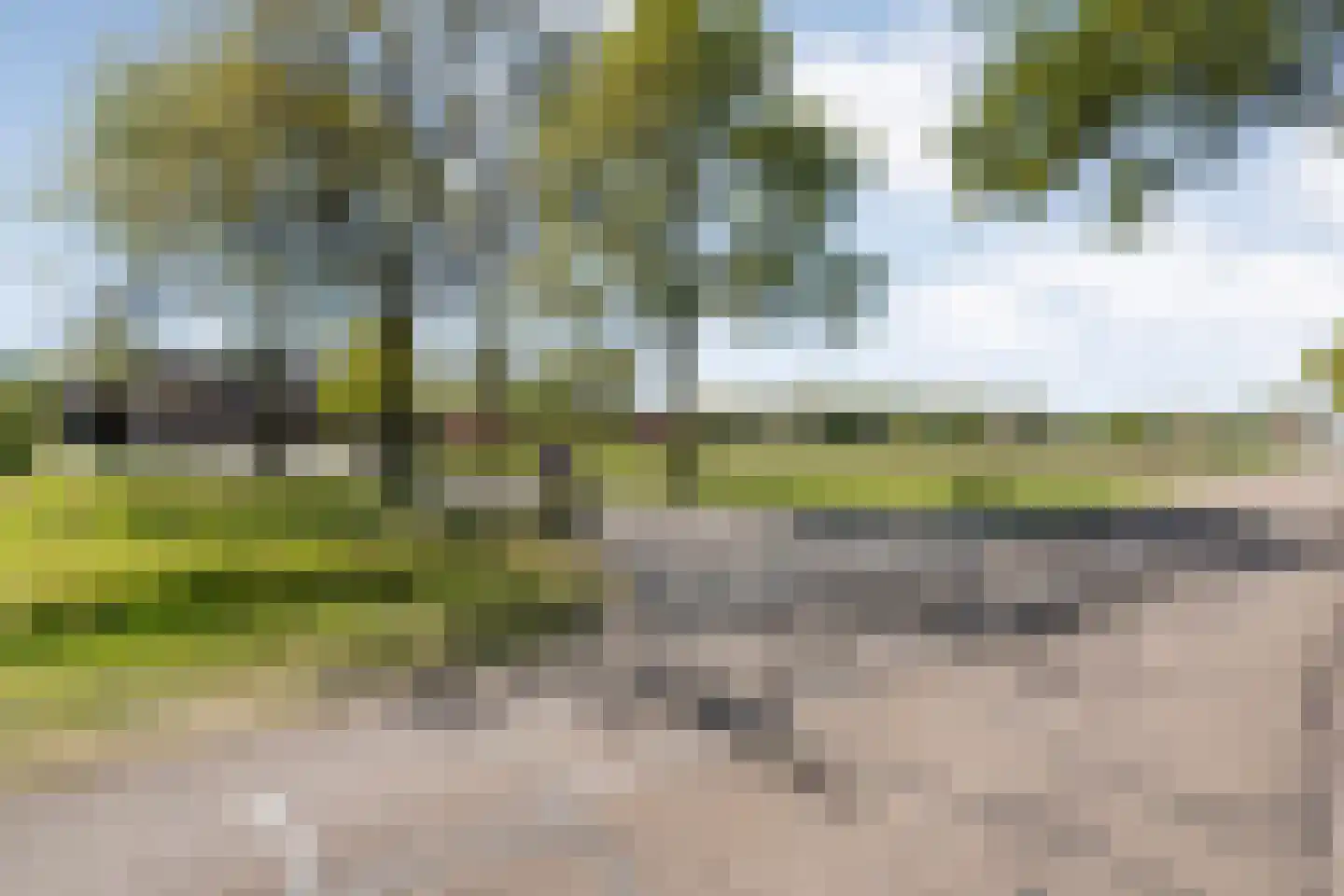 Noord Oosterweg 1 Loozen thumbnail 70
