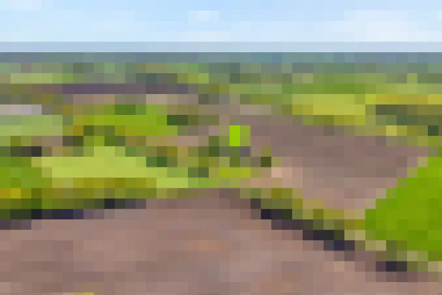 Noord Oosterweg 1 Loozen thumbnail 71