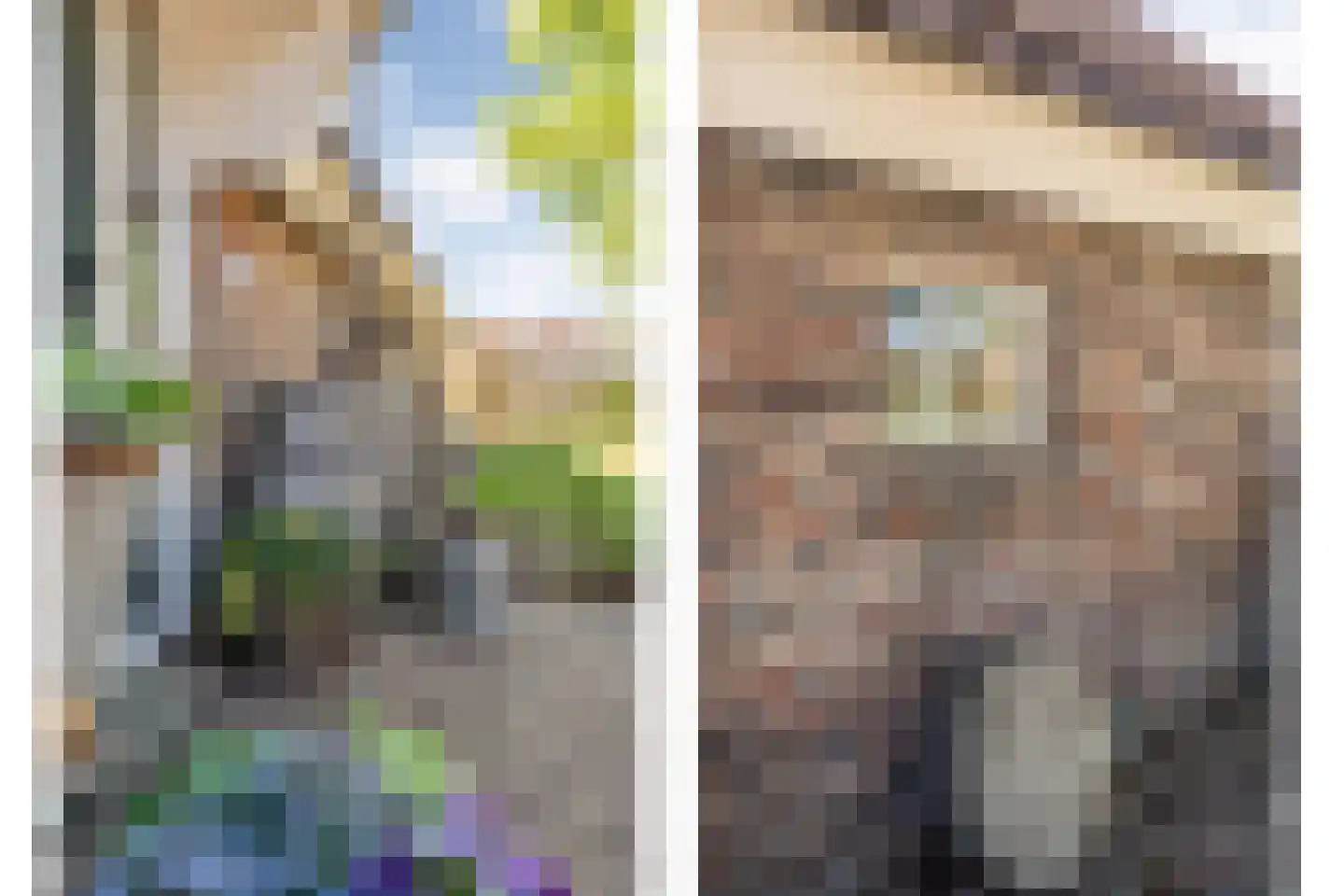 Noord Oosterweg 1 Loozen thumbnail 9