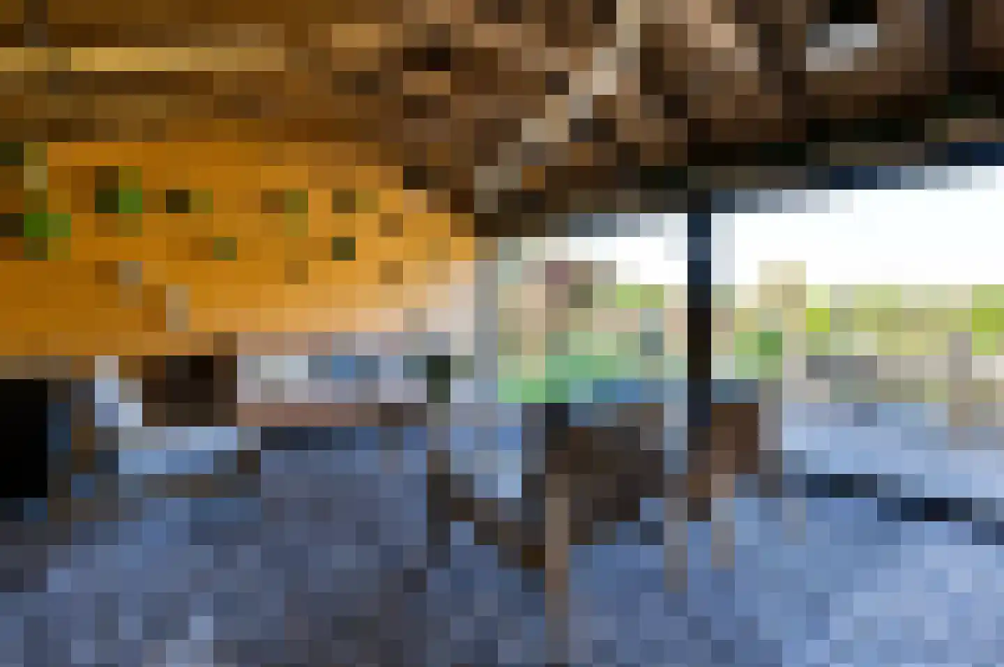 Noord Oosterweg 1 Loozen thumbnail 9