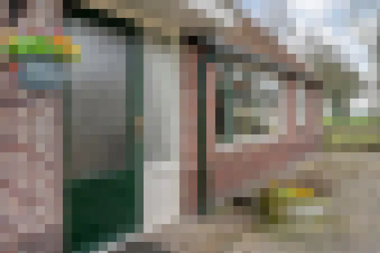 Noord-Oosterweg 15 Radewijk thumbnail 11