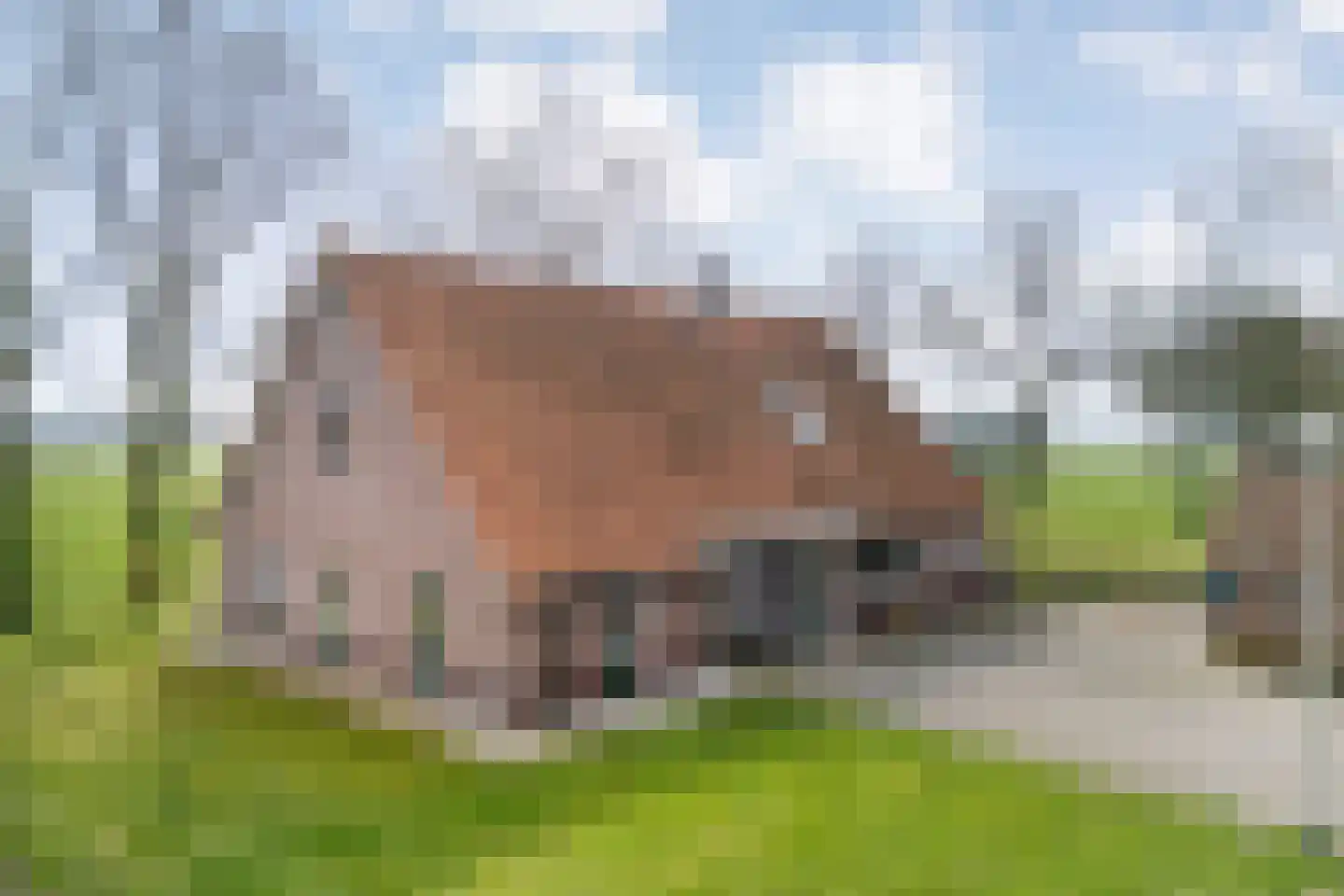 Noord-Oosterweg 15 Radewijk thumbnail 5
