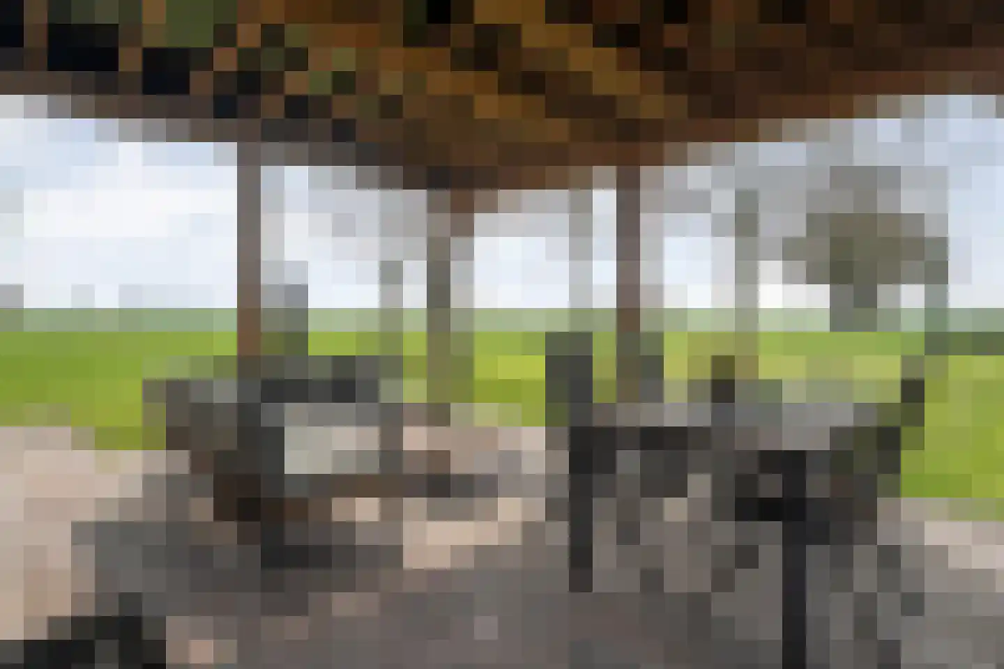 Noord-Oosterweg 15 Radewijk thumbnail 54