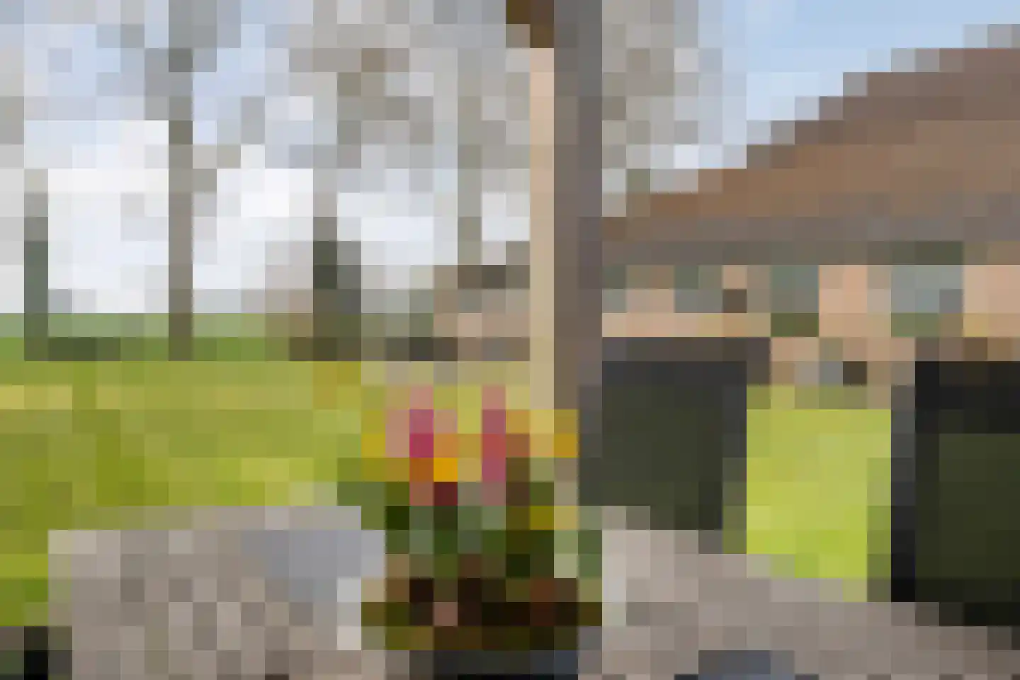 Noord-Oosterweg 15 Radewijk thumbnail 55