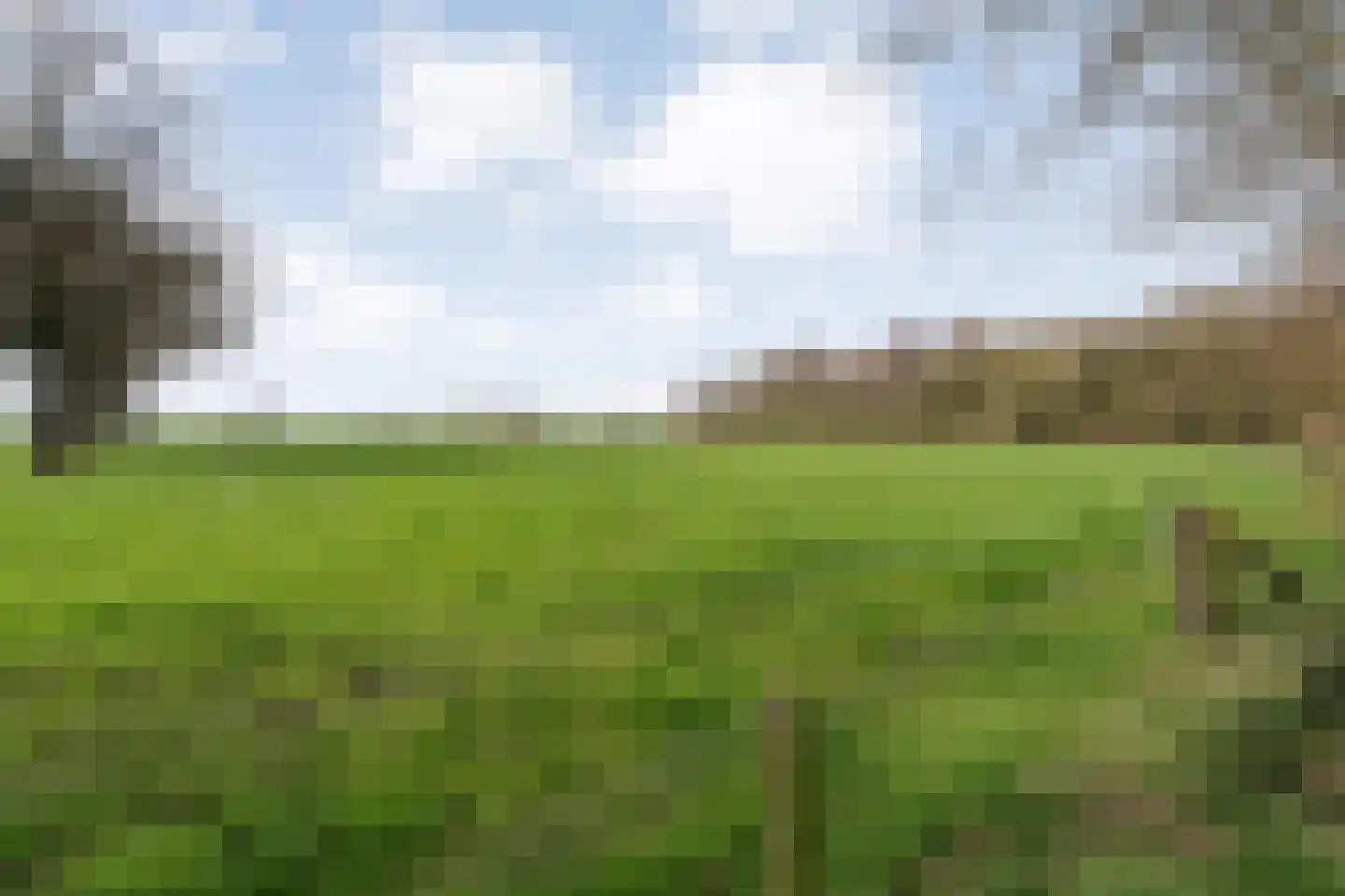 Noord-Oosterweg 15 Radewijk thumbnail 56