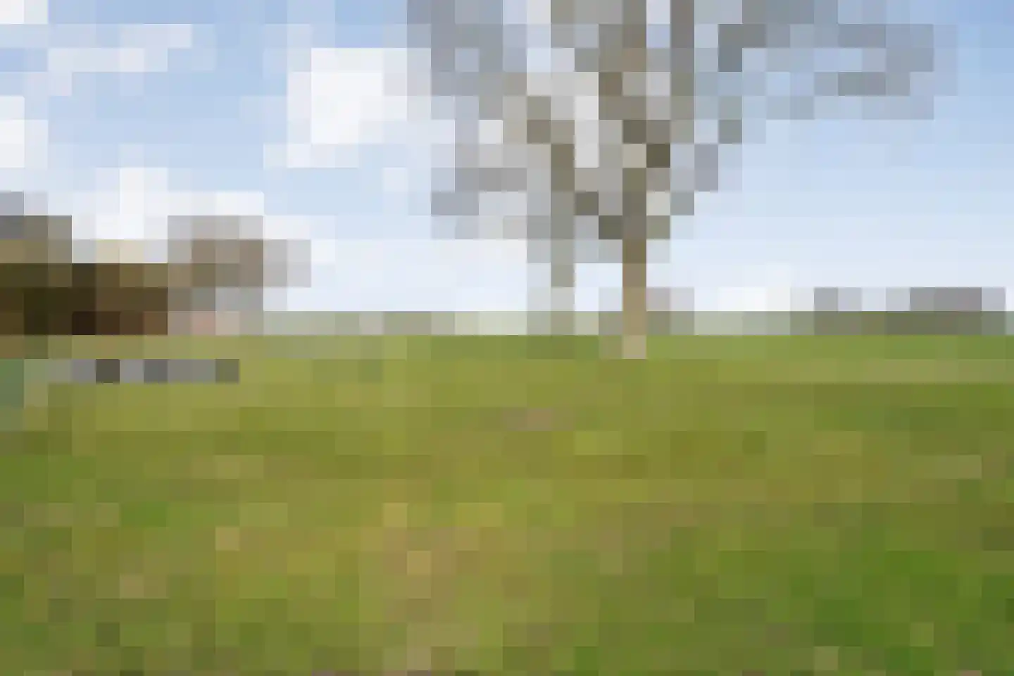 Noord-Oosterweg 15 Radewijk thumbnail 58