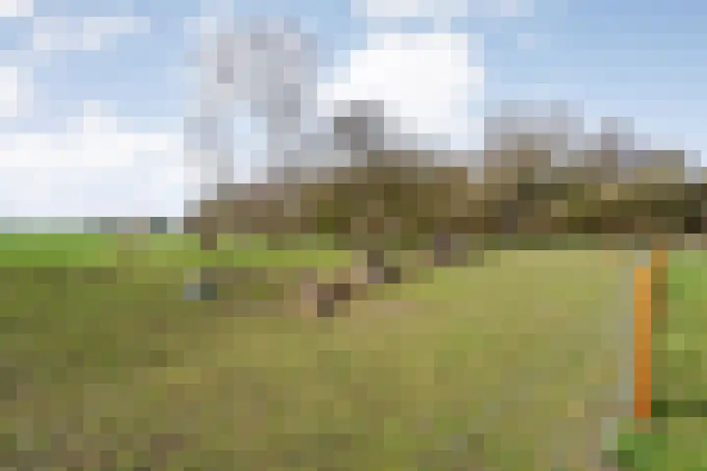 Noord-Oosterweg 15 Radewijk thumbnail 60