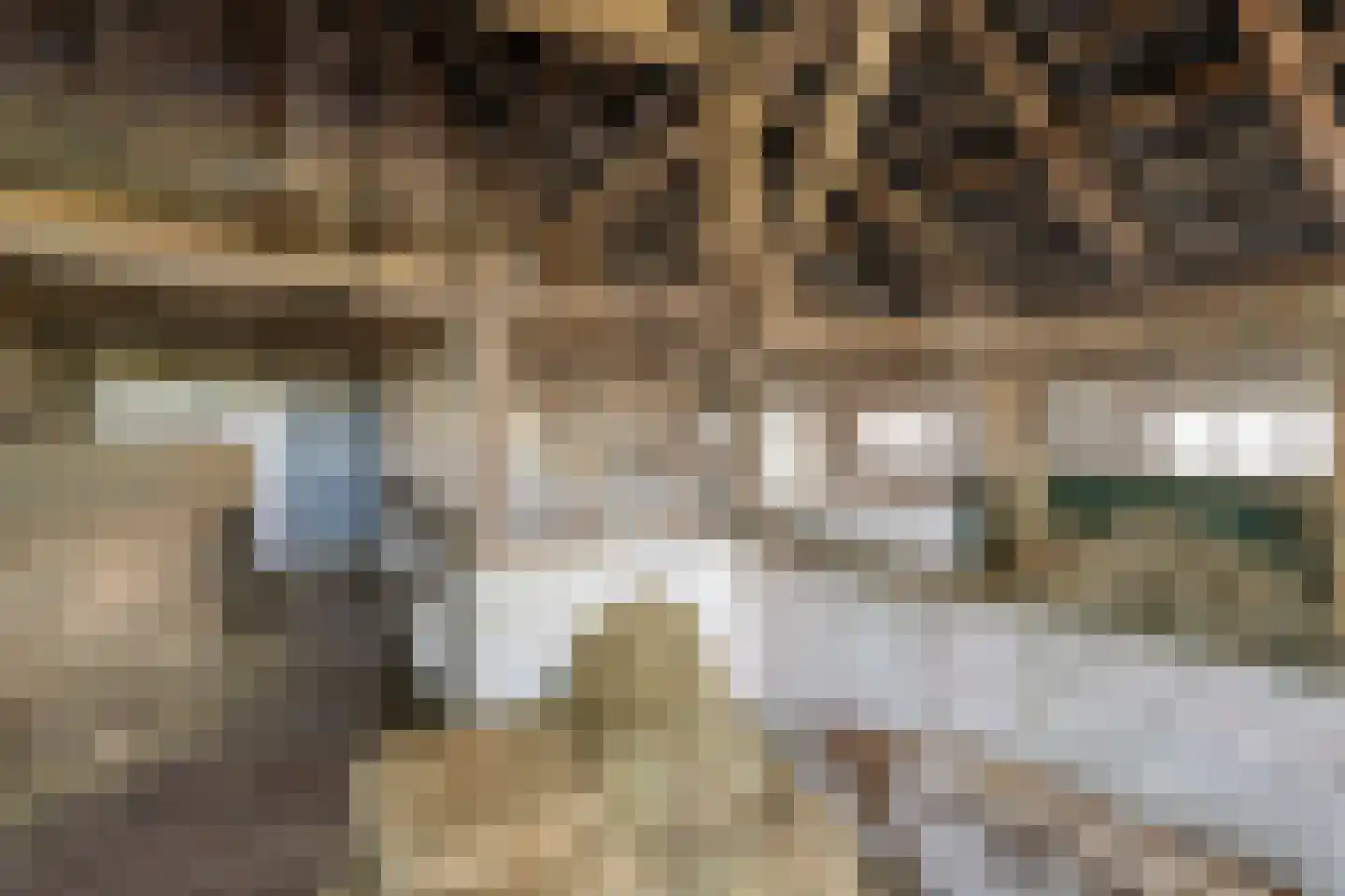 Noord-Oosterweg 15 Radewijk thumbnail 62