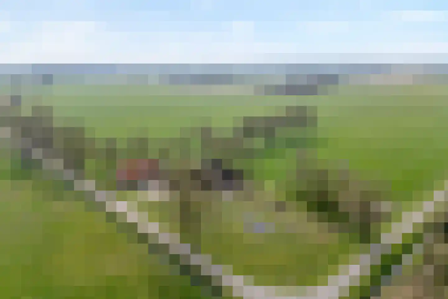 Noord-Oosterweg 15 Radewijk thumbnail 66
