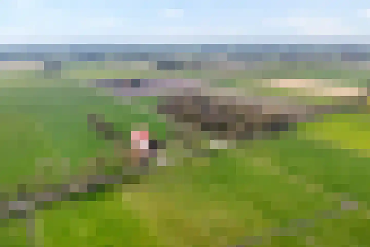 Noord-Oosterweg 15 Radewijk thumbnail 7
