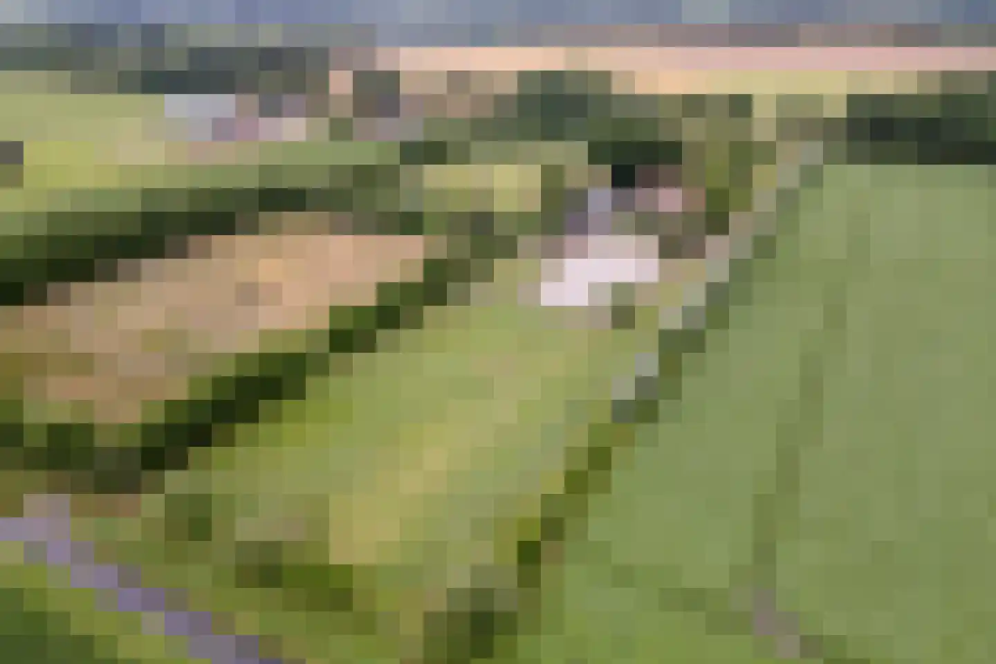 Noord-Oosterweg 25 Radewijk thumbnail 4