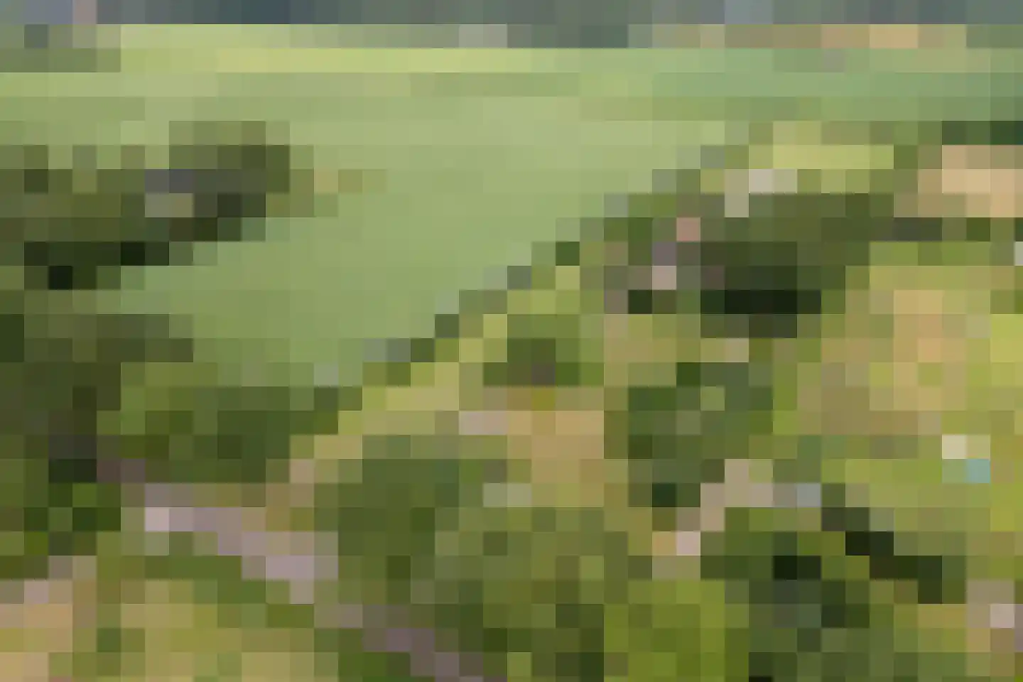 Noord-Oosterweg 25 Radewijk thumbnail 5