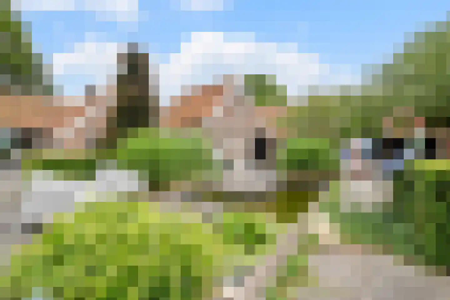 Noord-Oosterweg 25 Radewijk thumbnail 53