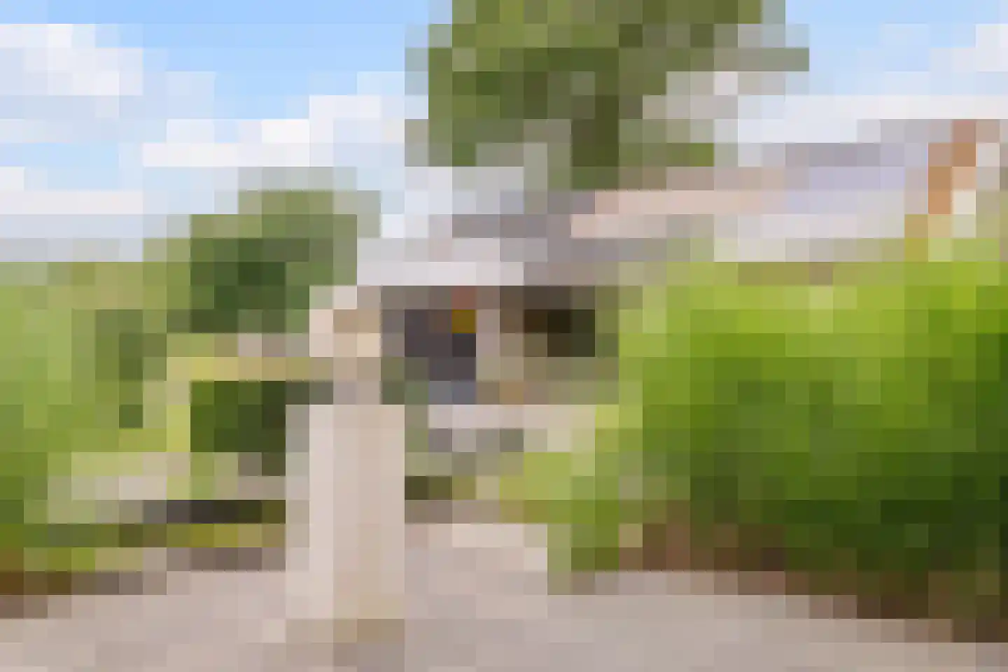 Noord-Oosterweg 25 Radewijk thumbnail 54