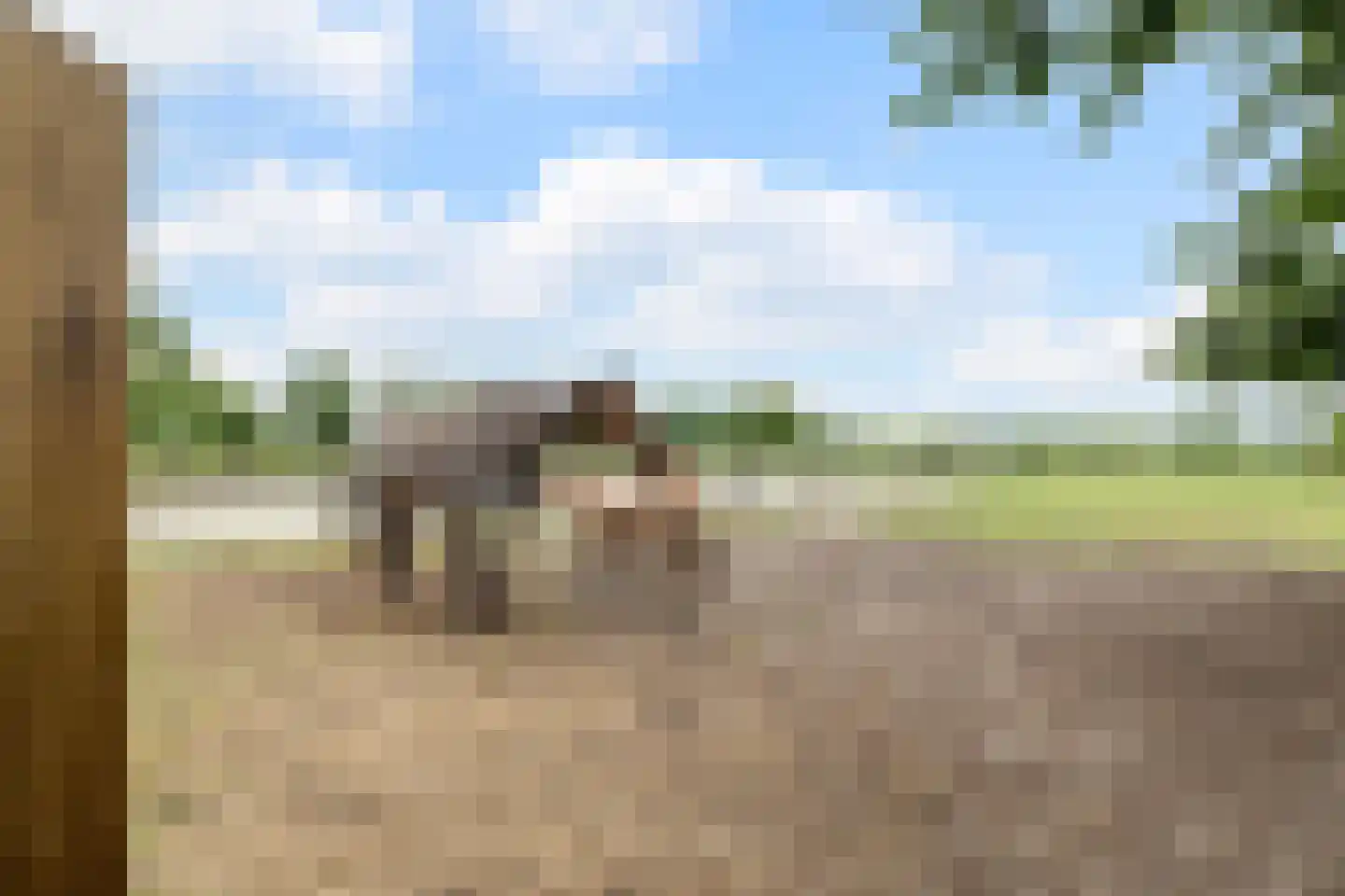 Noord-Oosterweg 25 Radewijk thumbnail 65