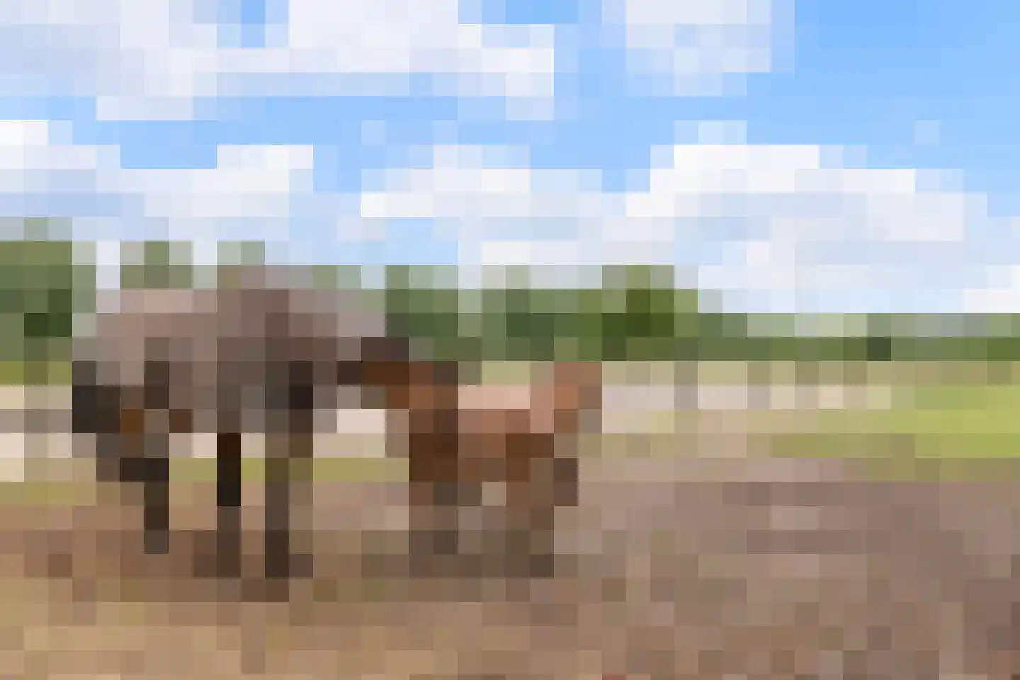 Noord-Oosterweg 25 Radewijk thumbnail 66