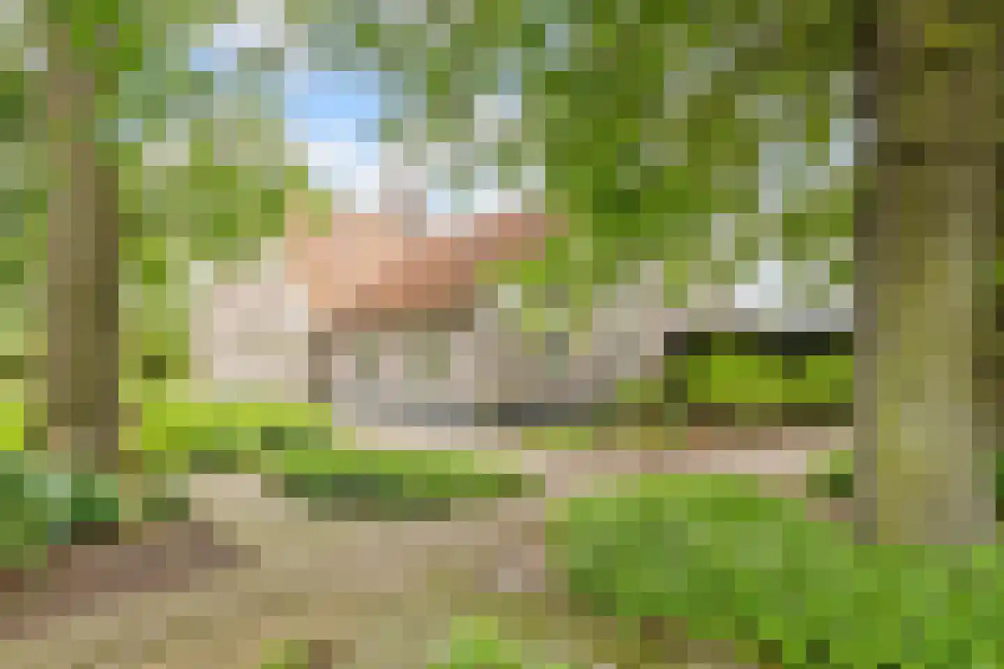 Noord-Oosterweg 25 Radewijk thumbnail 68