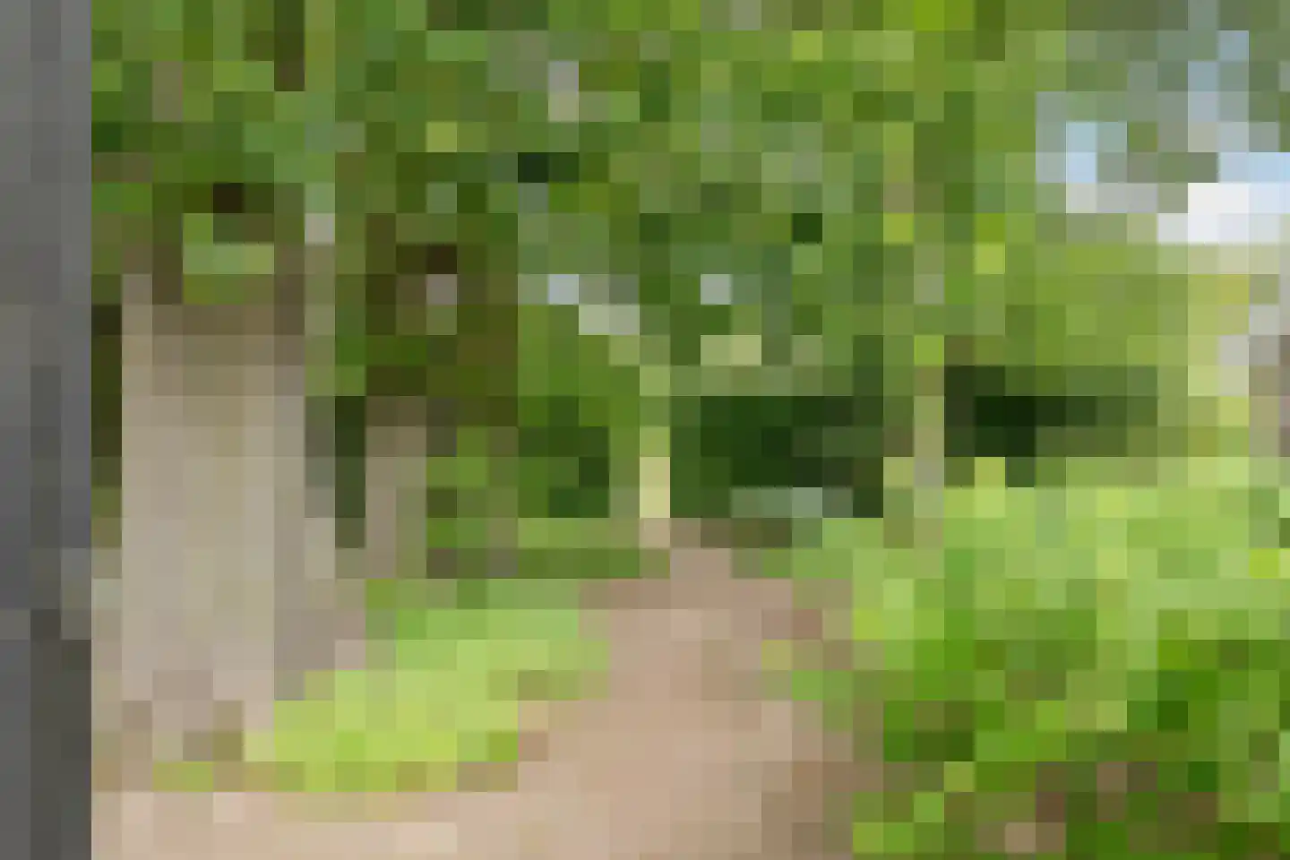 Noord-Oosterweg 25 Radewijk thumbnail 69