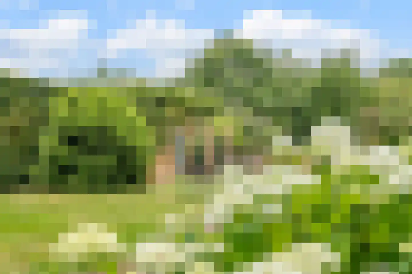 Noord-Oosterweg 25 Radewijk thumbnail 71
